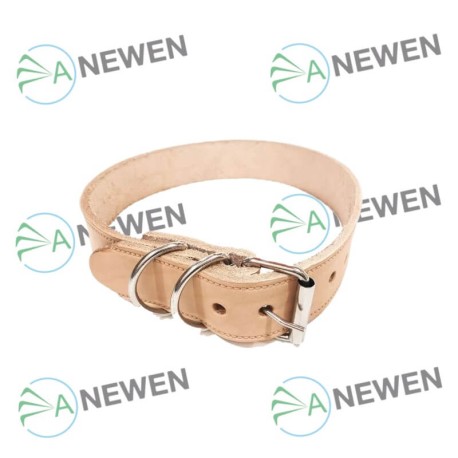 Collar de Cuero 1 pulgada